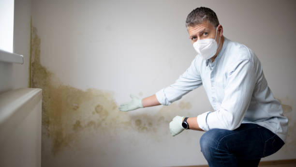 Mold remediation
